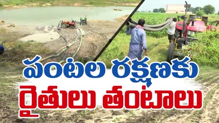 Crops Dying due to No Irrigation Water From Sagar