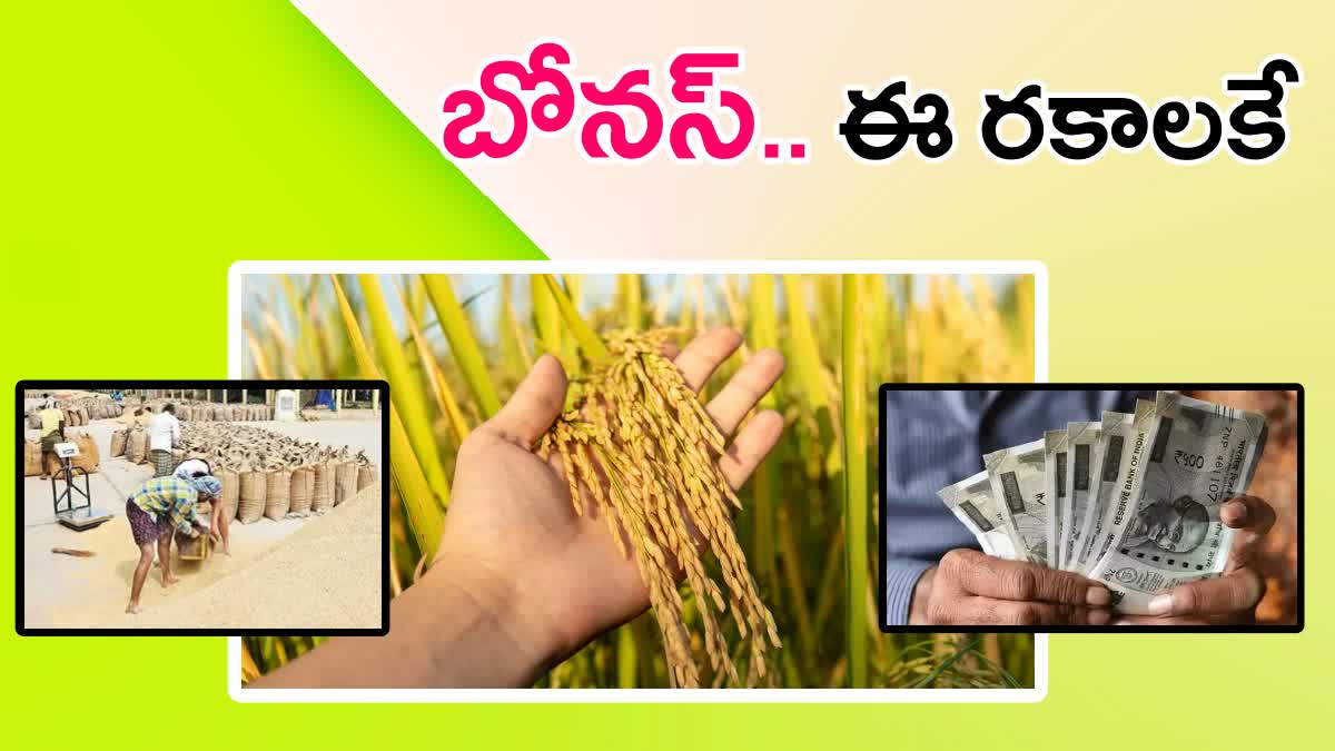 Telangana Govt to Pay RS 500 Bonus Paddy