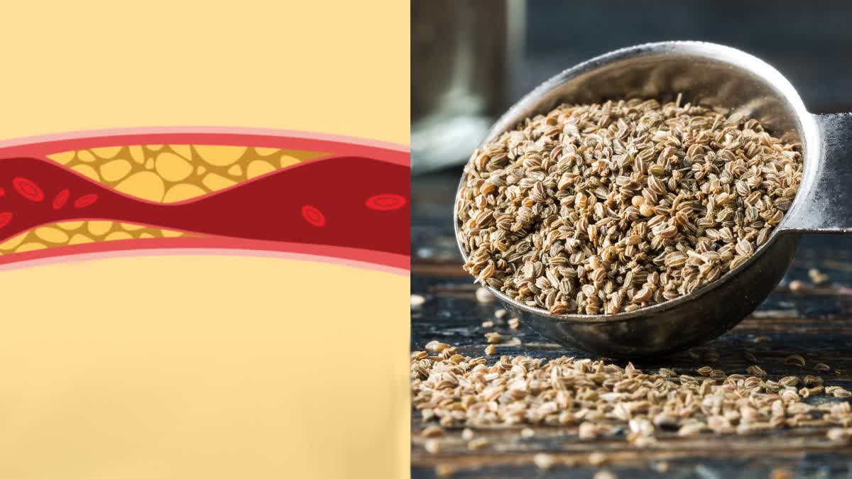 SIDE EFFECTS OF AJWAIN  HOW TO USE AJWAIN  HEALTH BENEFITS OF AJWAIN  AJWAIN SEEDS