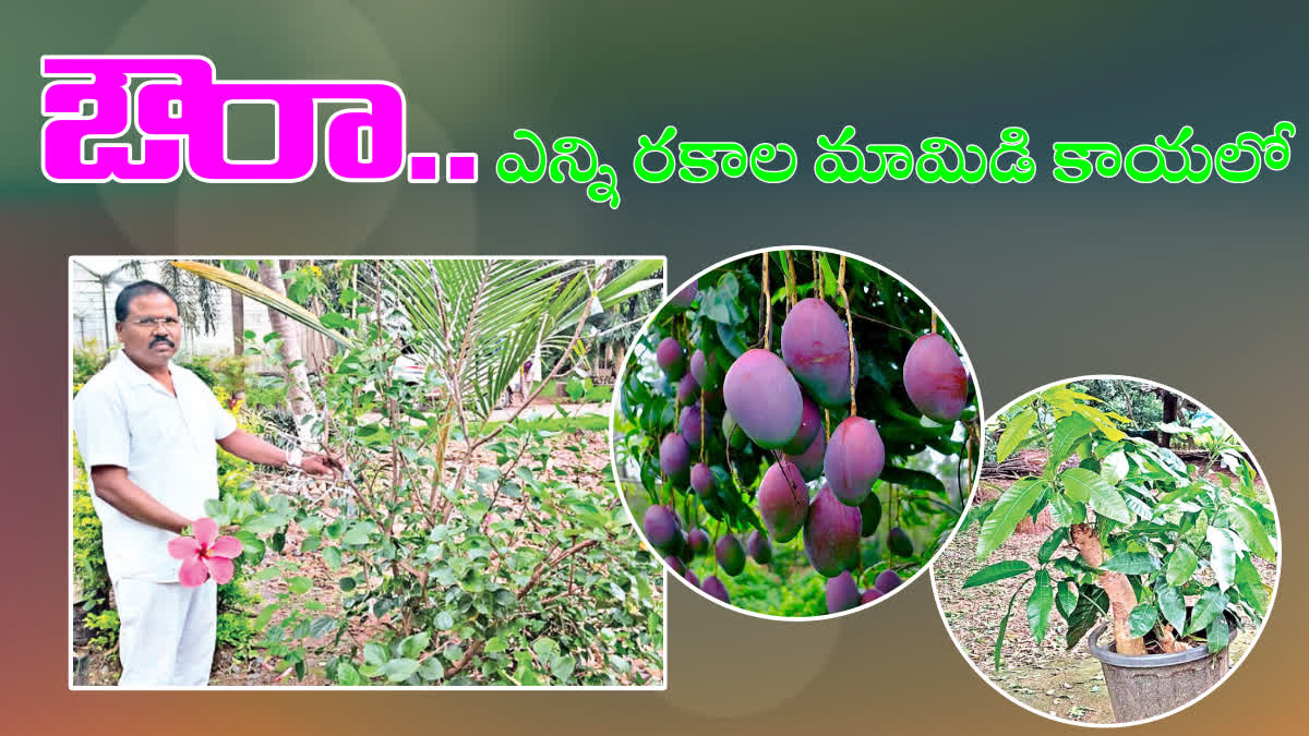 different_types_of_mangoes_and_flowers