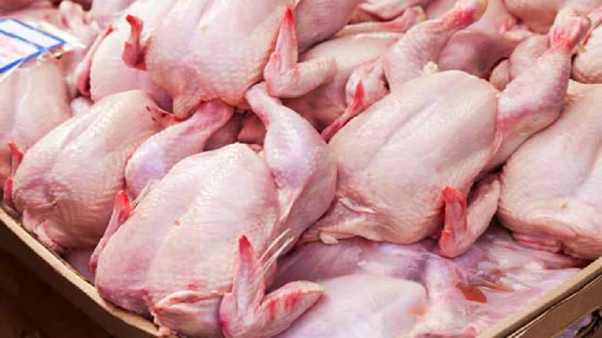 ROTTEN CHICKEN SOLD IN BEGAMPETT  FOOD SAFETY INSPECTION HYDERABAD  ROTTEN CHICKEN SOLD TO HOTEL BARS  FOOD SAFETY DEPARTMENT NEWS