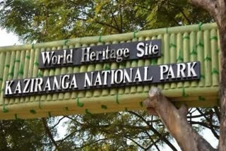 Record breaking tourist footfall in Kaziranga National Park