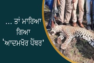 Panther Shot died in udaipur