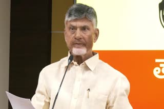 cm_chandrababu_naidu_comments