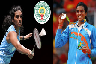 PV Sindhu Deputy Collector