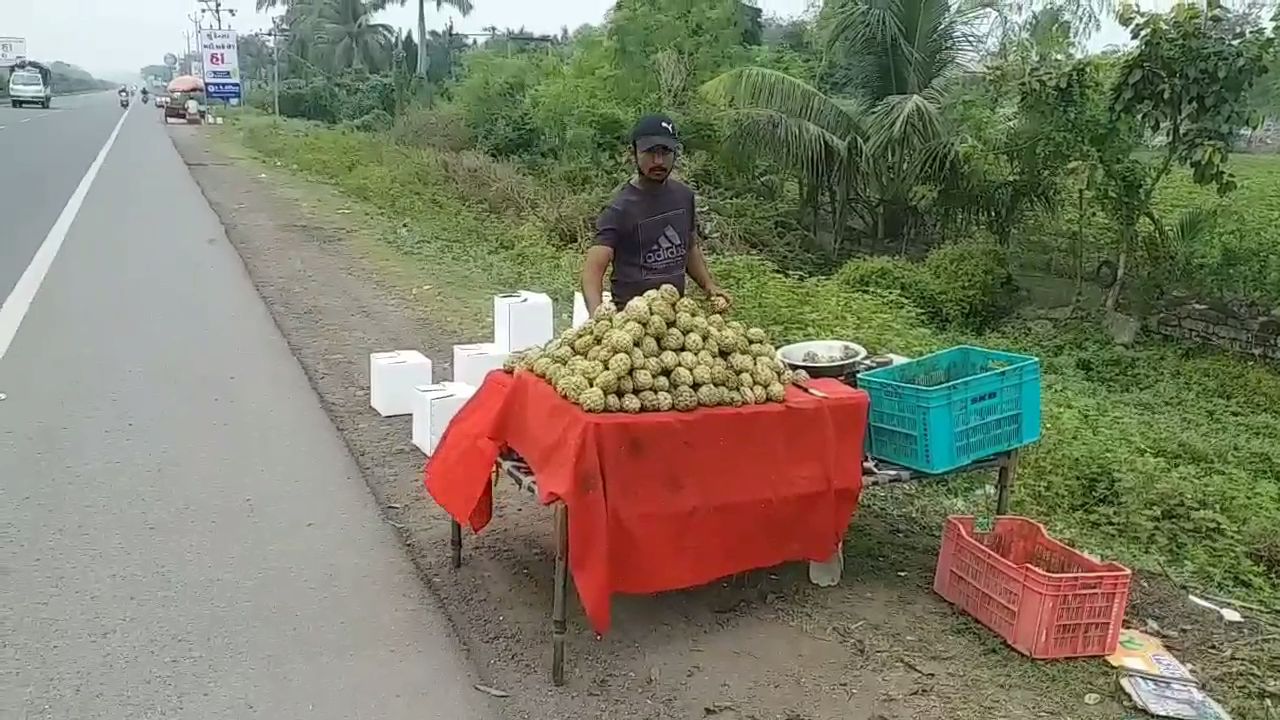 સીતાફળના વેપારી