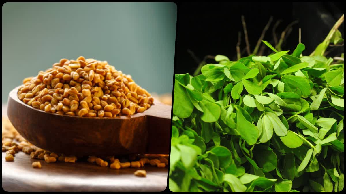 benefits of fenugreek