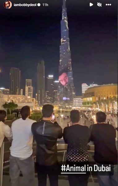 Animal prmotion on Burj Khalifa