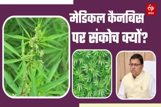 Dhami government cannabis policy