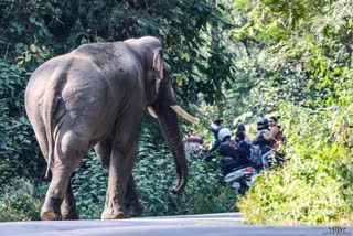 Pauri Kotdwar Duggada Highway