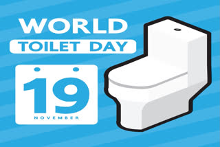 World Toilet Day, celebrated annually on November 19, highlights the crucial need for proper sanitation.
