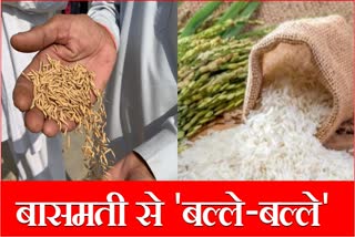 Karnal News Basmati Rice Farmers Happy High Price Sold Export quality Rice Haryana News
