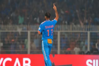 Yuvraj Singh on Mohammed Shami  Mohammed Shami performance in World Cup 2023  Cricket World Cup 2023  India vs Australia  India vs Australia World Cup 2023 final  ഏകദിന ലോകകപ്പ് 2023  ഏകദിന ലോകകപ്പ് ഷമിയുടെ പ്രകടനം  ഏകദിന ലോകകപ്പ് 2023 ഷമി വിക്കറ്റ്  ഇന്ത്യ vs ഓസ്‌ട്രേലിയ