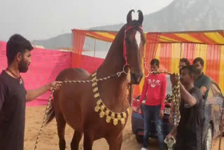 International Pushkar Fair 2023