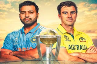 A special treat for cricket lovers during final showdown