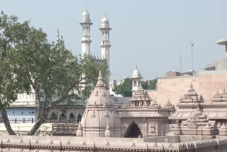 ASI gets 10 more days to submit survey report of Gyanvapi mosque complex