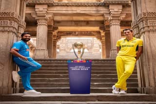 Cricket World Cup india vs australia final match preview stats