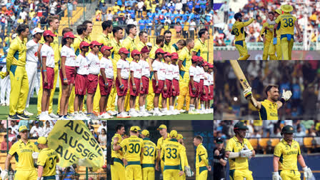 Cricket World Cup 2023  Australia Team In Cricket World Cup 2023  Australian Team Performance In World Cup 2023  India vs Australia Final  Australia Road To Cricket World Cup Final 2023  ഏകദിന ക്രിക്കറ്റ് ലോകകപ്പ്  ഇന്ത്യ ഓസ്‌ട്രേലിയ ഫൈനല്‍  ഓസ്‌ട്രേലിയ ലോകകപ്പ്  ക്രിക്കറ്റ് ലോകകപ്പില്‍ ഓസ്‌ട്രേലിയ  ലോകകപ്പ് ഓസ്ട്രേലിയന്‍ ടീം പ്രകടനം