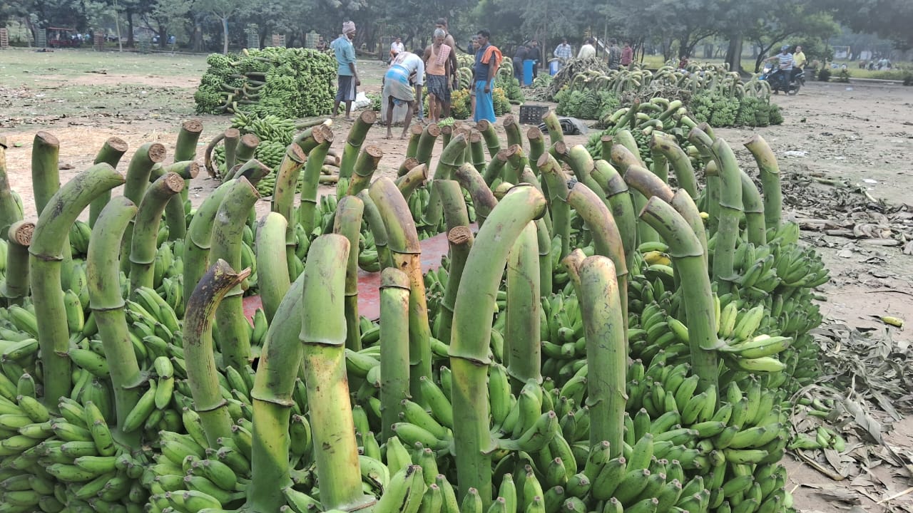 Gaya Chhath Puja