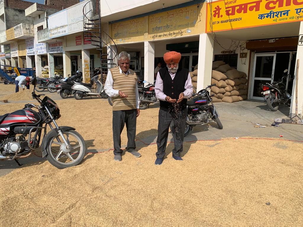 Karnal News Basmati Rice Farmers Happy High Price Sold Export quality Rice Haryana News