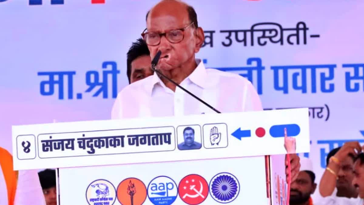 MAHARASHTRA ASSEMBLY ELECTION NCP  NCP LEADER SHARAD PAWAR  ശരദ് പവാർ എന്‍സിപി  മഹാരാഷ്‌ട്ര നിയമസഭ തെരഞ്ഞെടുപ്പ്