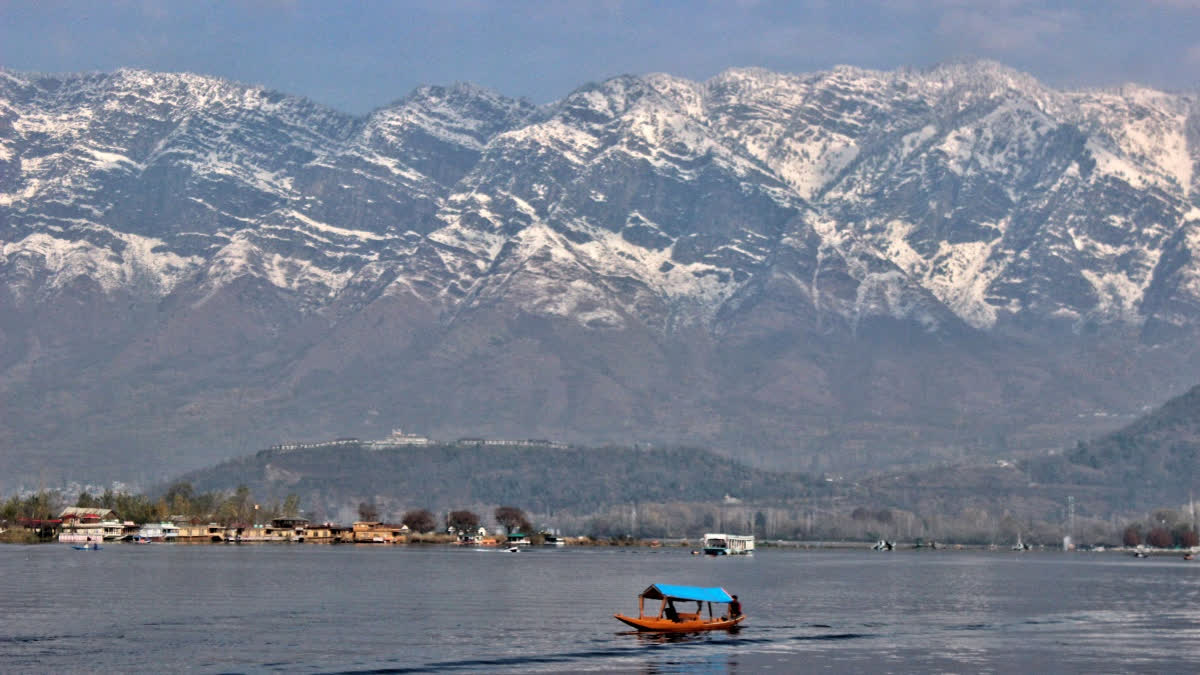 A boatman rows shikara in the Dal Lake at Srinagar with the background of snowy hills