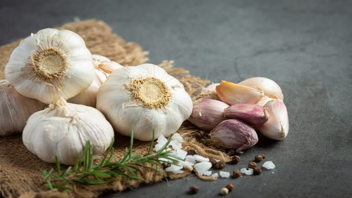 RAW GARLIC BENEFITS  GARLIC HEALTH BENEFITS  വെളുത്തുള്ളിയുടെ ആരോഗ്യ ഗുണങ്ങൾ  EATING GARLIC ON EMPTY STOMACH