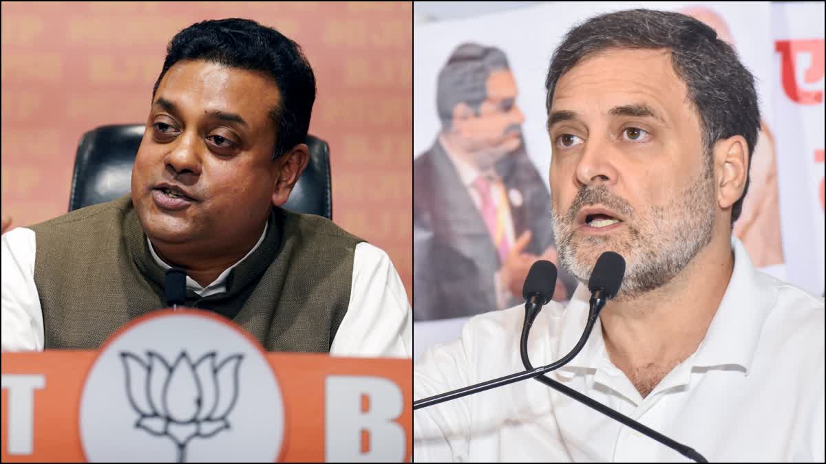 BJP Sambit Patra Jibe on Rahul Gandhi Maharashtra Elections 2024