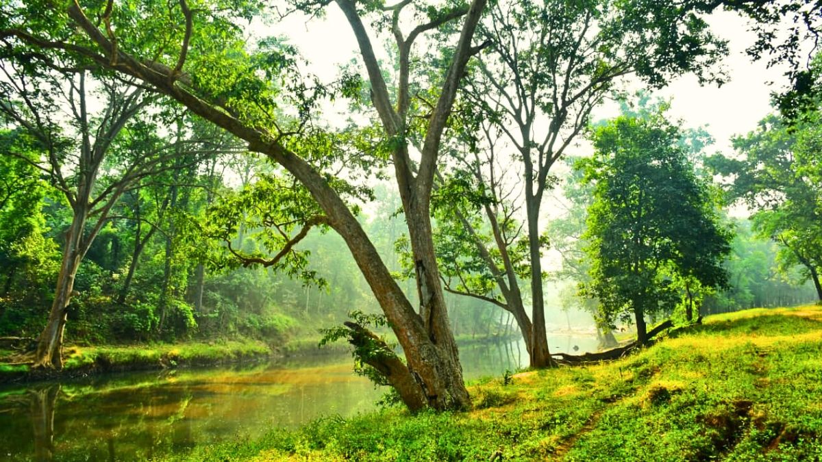 BARNAWAPARA WILDLIFE SANCTUARY