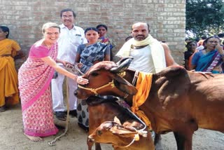 MILK PRODUCTION IN KUMMARIGUDEM