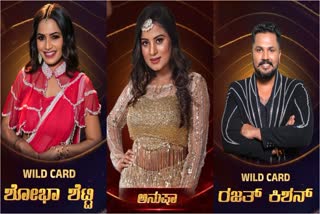 wild card and eliminated contestants