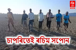 YOUTH OF KALIABOR SELF-RELIANT THROUGH AGRICULTURE