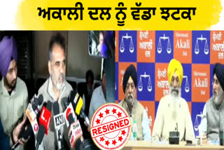 Akali leader NK Sharma left the Akali Dal and took the decision after the resignation of Sukhbir Badal