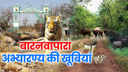 Barnawapara Sanctuary of Chhattisgarh