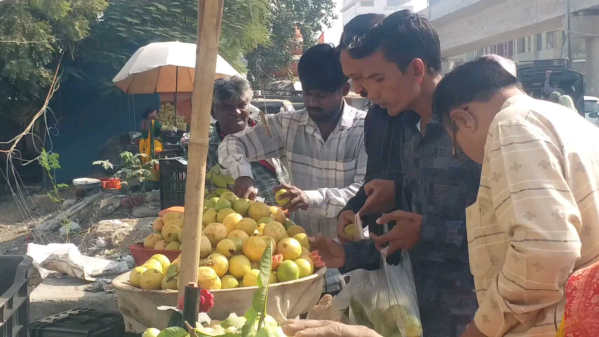 સ્વાસ્થ્ય માટે ખુબ ફાયદાકારી ગણાતા જામફળ