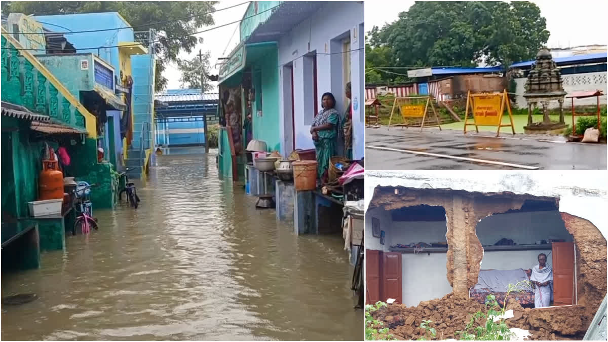 normal life of the people has been severely affected due to the rains in Tenkasi