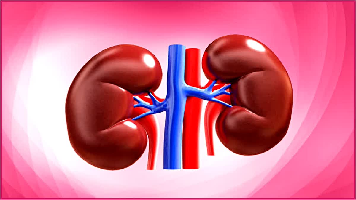 Doctors Stole Kidney