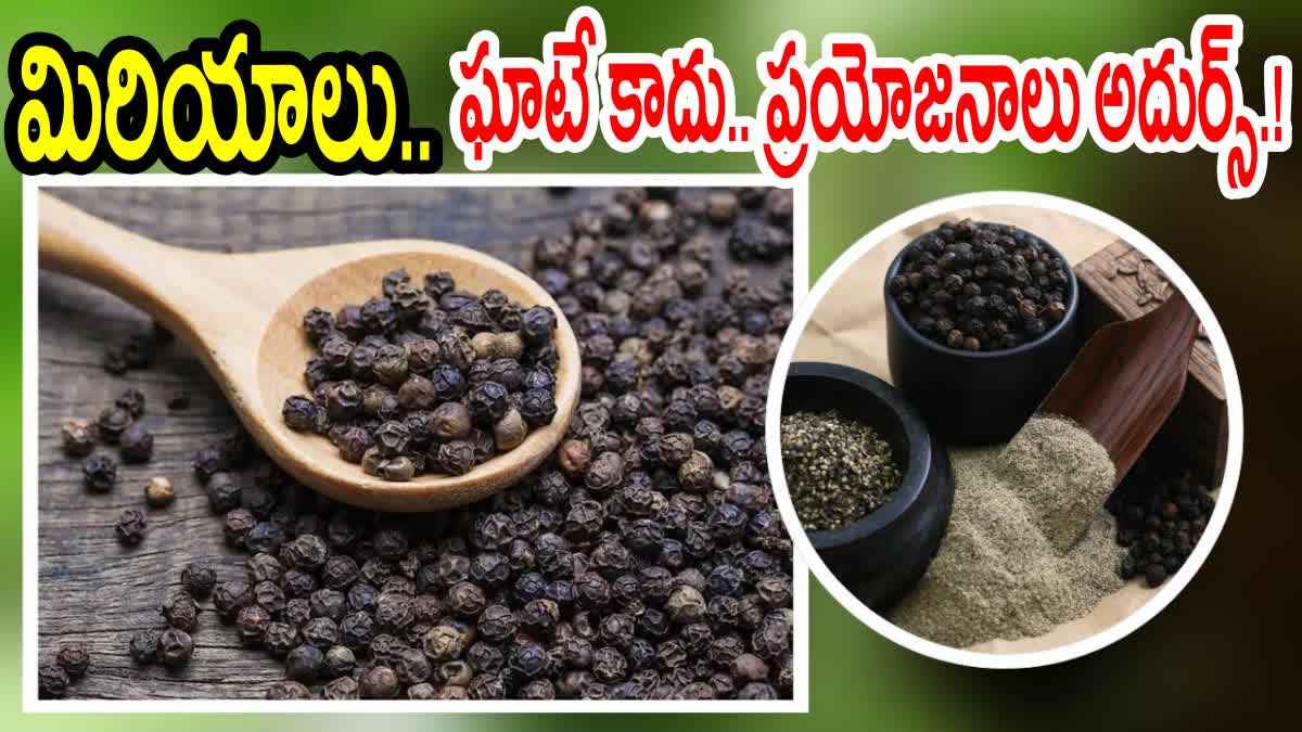 Black Pepper Benefits