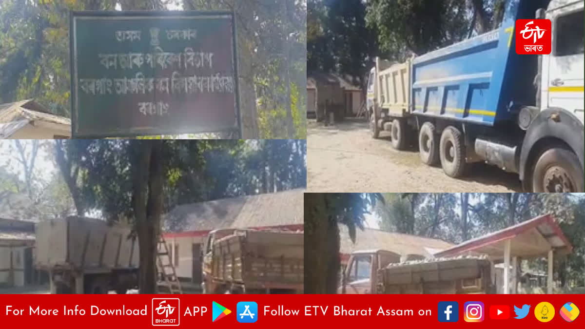 Illegal stone sand smuggling in Assam