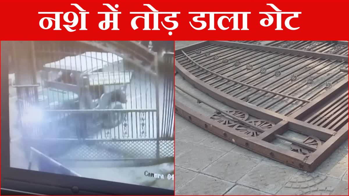 Drunkards broke the gate of Chaudhary Devi Lal University in Sirsa try to go to women's hostel accused in police custody Haryana News