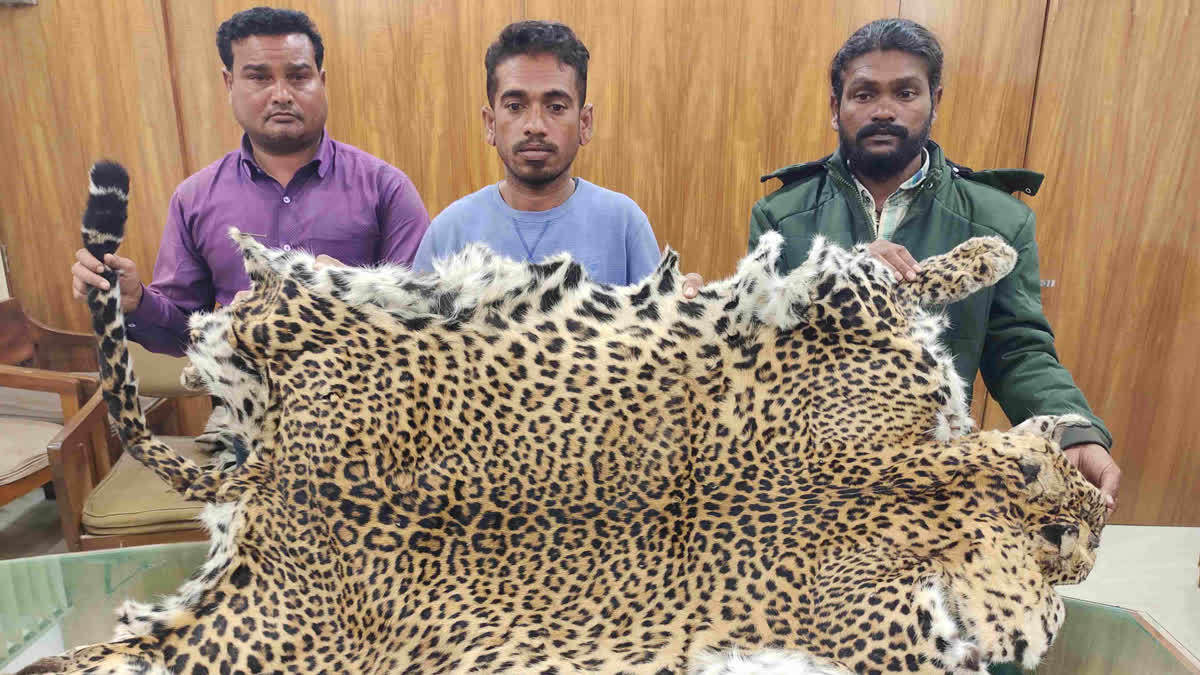 Forest Department Arrest Three Smugglers For leopard Skin Smuggling