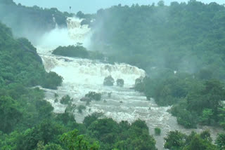 people suffer due to continuous rain in tirunelveli