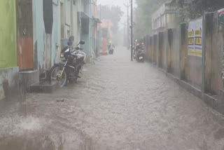 கோரம்பள்ளம் குளக்கரையில் உடைப்பு