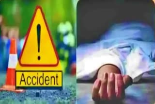 farmer_died_in_road_accident_in_anantapur_district