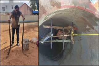 Two snakes rescued from the well