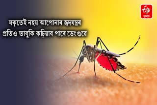 Attention Not only your liver but also your heart is in danger from dengue, shocking thing revealed in the research