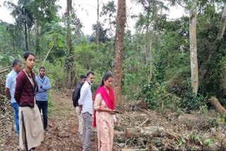 Miscreants cut down hundreds of trees in Belur