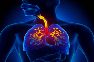 The research from the University College London and Wellcome Sanger Institute showed that healthy lung development hinges on communication between immune cells and cells that line the airways.
