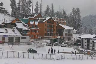 fresh Spell Of Snowfall Cheers Tourists in Kashmir