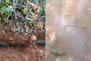 Police recovered three IED during search operation in Chaibasa
